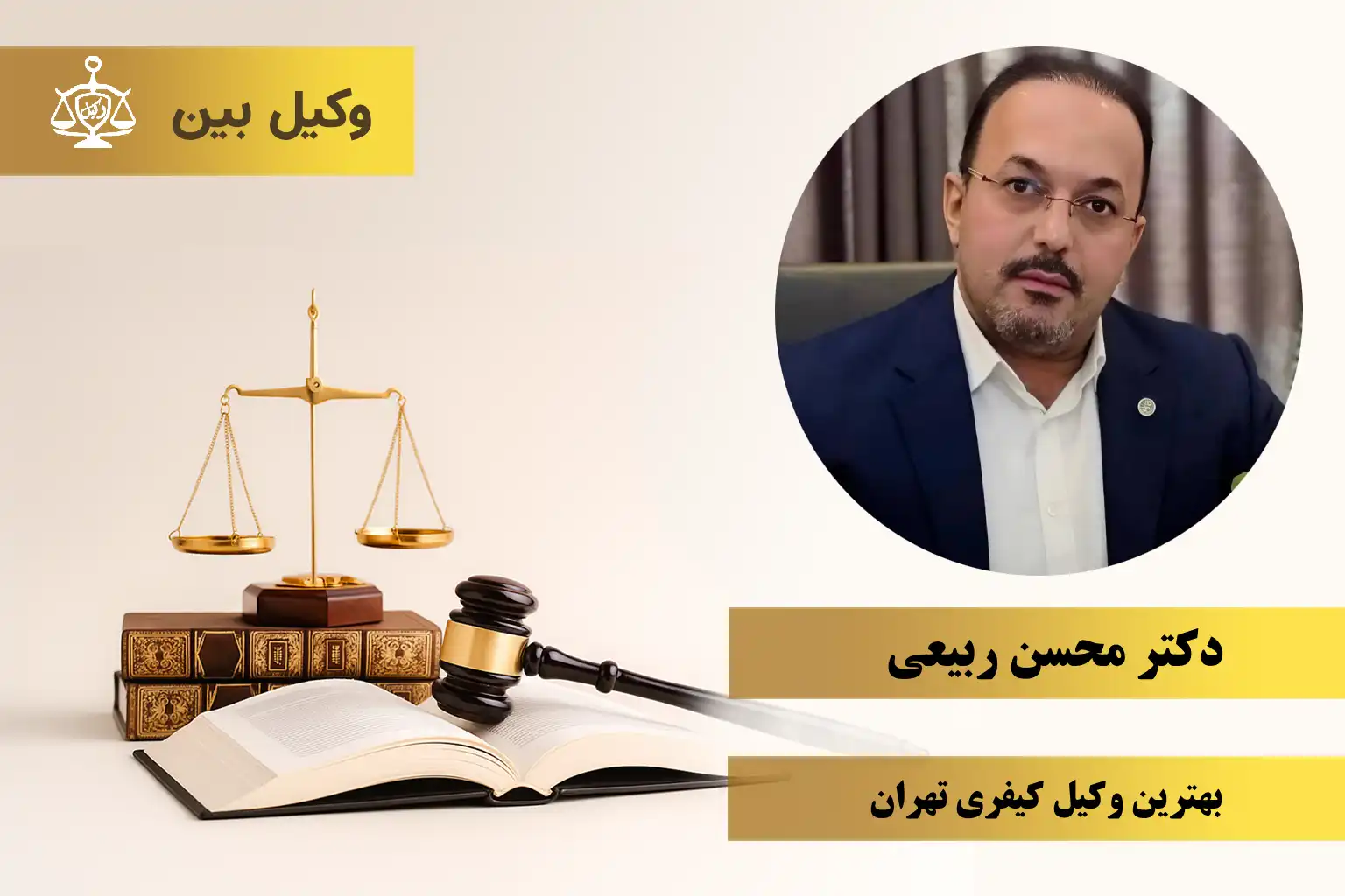 دکتر محسن ربیعی5