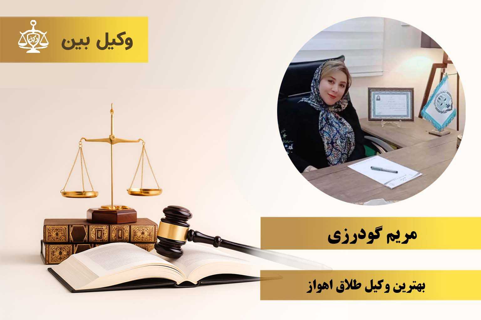 مریم گودرزی8