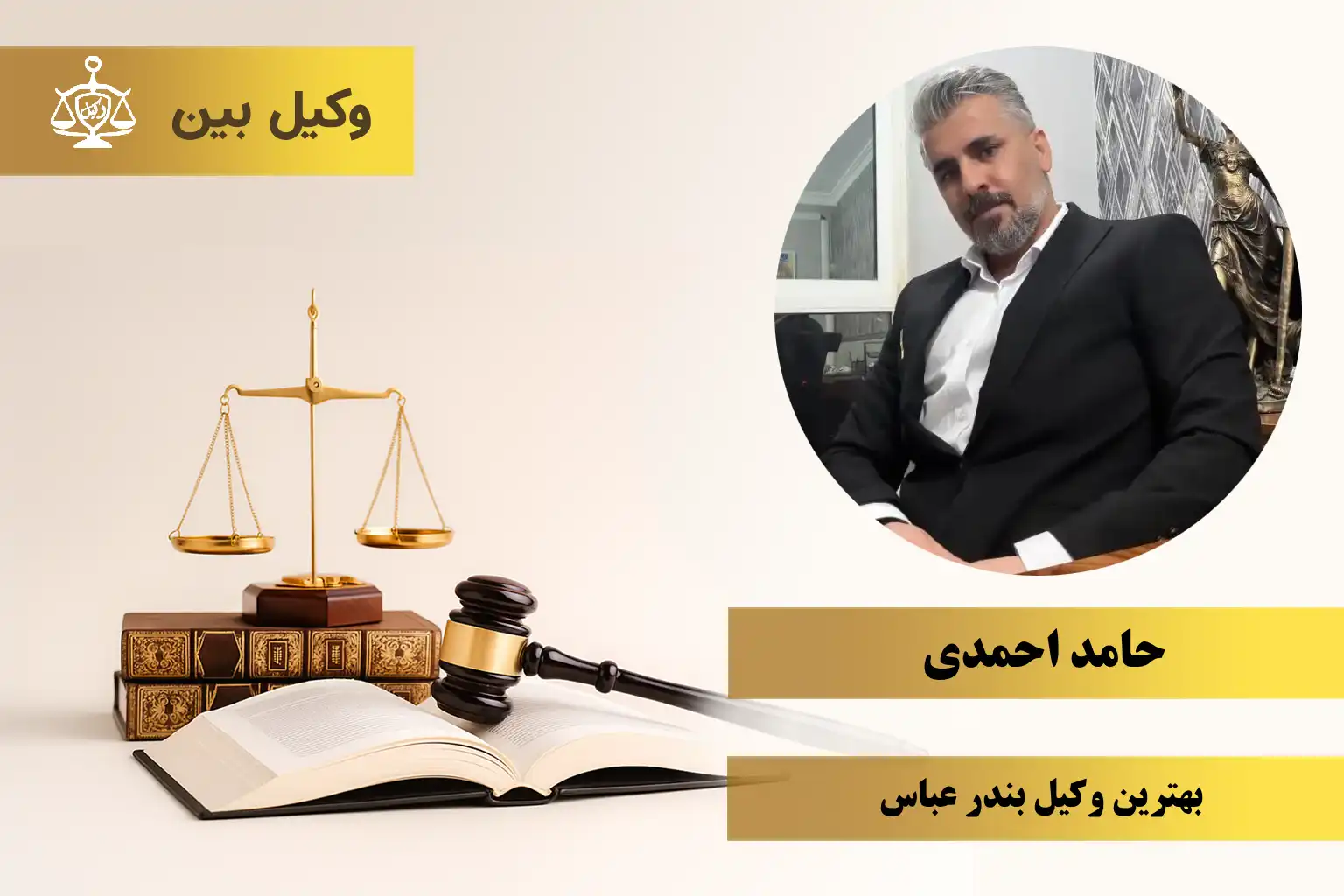 آقای حامد احمدی2
