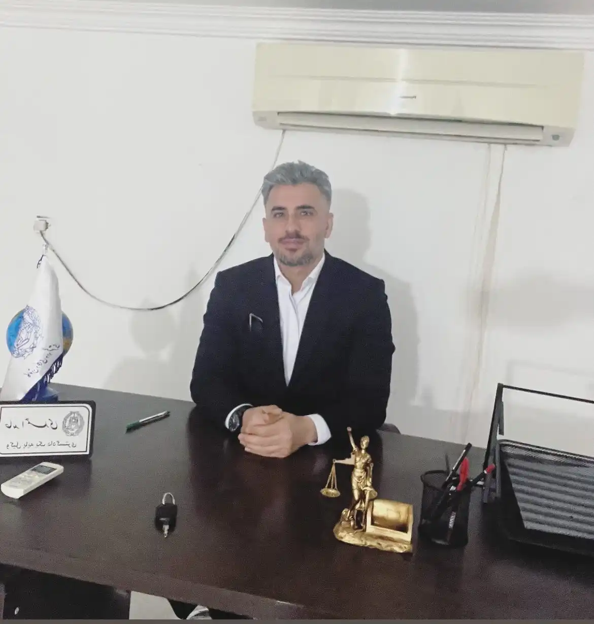 حامد احمدی