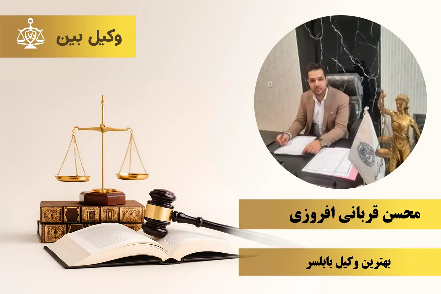 محسن قربانی افروزی